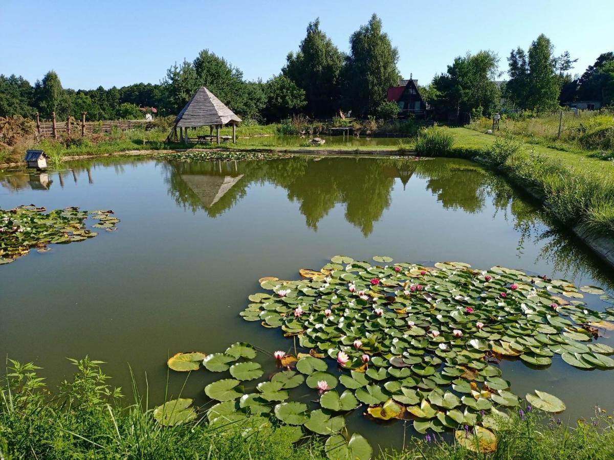 Noclegi U Janusza Zalesie  Esterno foto